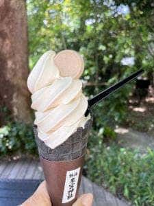 茶寮 五色の杜