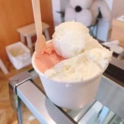 gelateria LIMONE