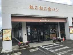 ねこねこ食パン 伊勢原店