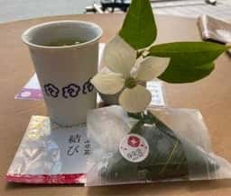 椿茶園