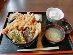 杉のや