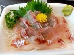 土屋魚類