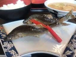 植山食堂