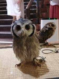 和のリゾート はづ