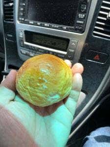 パン処ぱなでりあ