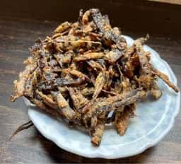 鍋焼きうどん mammam まんま