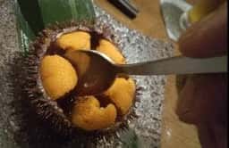 食堂 こなん