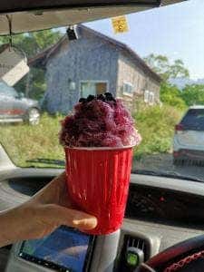 かき氷 花氷