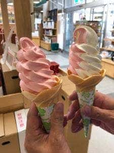 道の駅 とうま