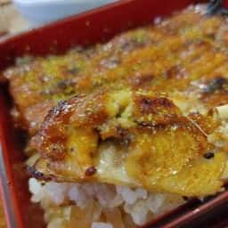 泰朋