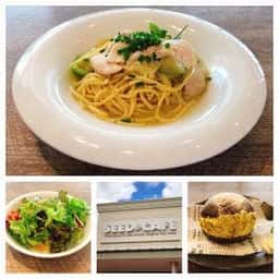 SEED CAFE