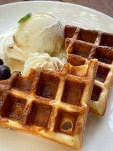 Tree+ing Cafe フクロウの森