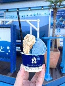 沼津深海プリン工房 青とプリンとジェラートと