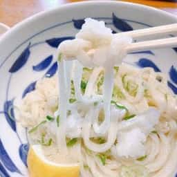 踊るうどん椿参道