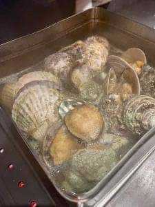 炭や 六根 貝とか酒とか炙りとか