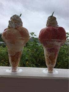 森のガーデン まるせい果樹園