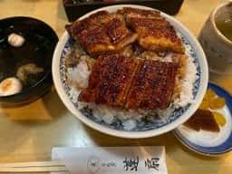 蓬扇
