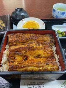 いぬぶし