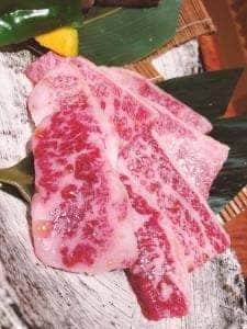 ヌルボンガーデン福重