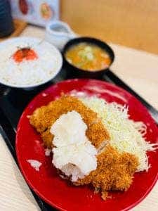 かつや 八尾山賀店