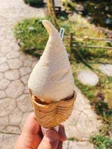 手づくりジェラート工房 鶴ヶ城会館
