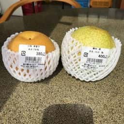 道の駅 はっとう フルーツ総合センター