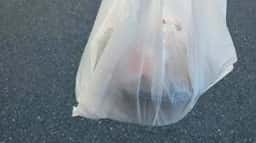 ほっともっと 川口芝店