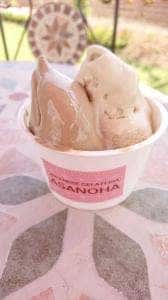 JAPANESE GELATERIA ASANOHA