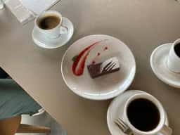 in vitro coffee roasters