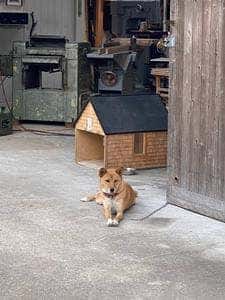 Little oven