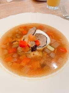 VEGAN plus