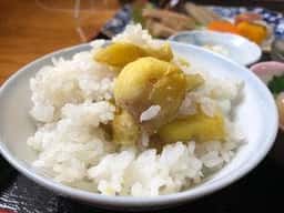 山におまかせ