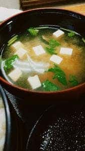 栃乃木