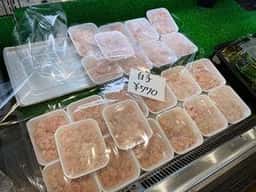 サンフィッシュ木野