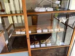 ベーグルマシュモ