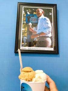 Mount Desert Island Ice Cream 松本