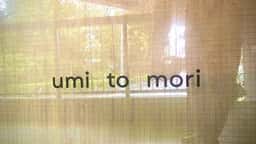 umi to mori