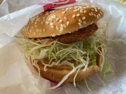 ドムドムハンバーガー 浅草花やしき店