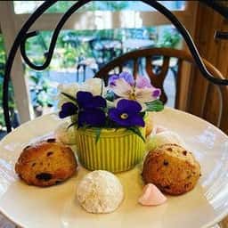 rosecafe 風のガーデン