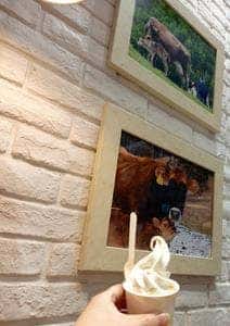 なかほら牧場 日本橋タカシマヤ 新館