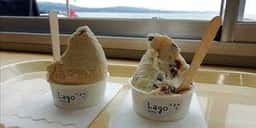 Lago SENTTO 宍道湖北