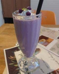 519cafe