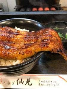 仙見