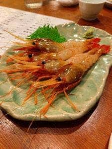遊魚 和田丸