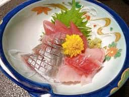 葉多舎