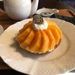 岩仁庵静櫻