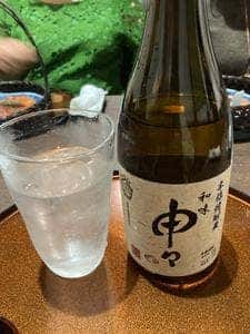nagomi_shinshin