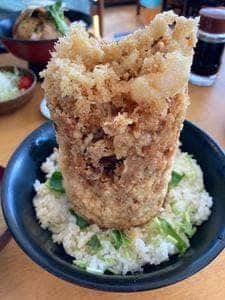 魚河岸丸天 富士店