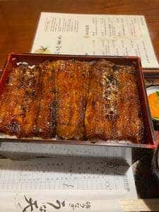 活うなぎ うな天