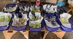 神田精果園 直販所